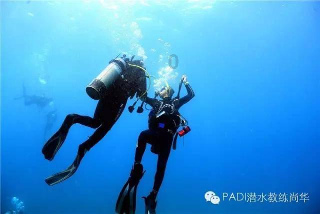 洪剑涛品尝东北清真菜：来哈尔滨不整一顿，那就是白来了！